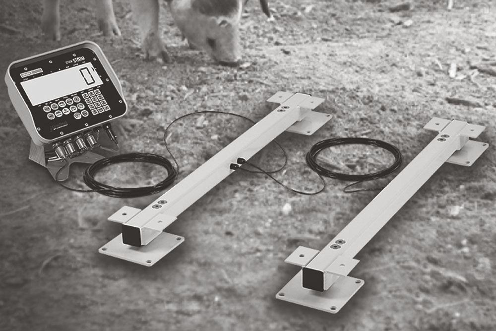 LB Series Load Bars