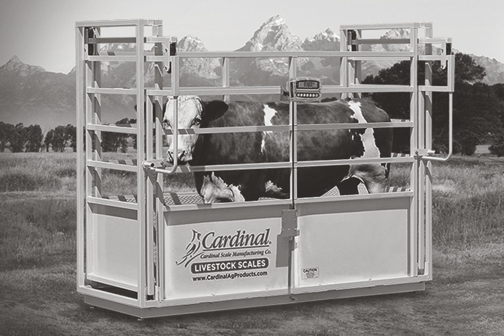 single animal livestock scale