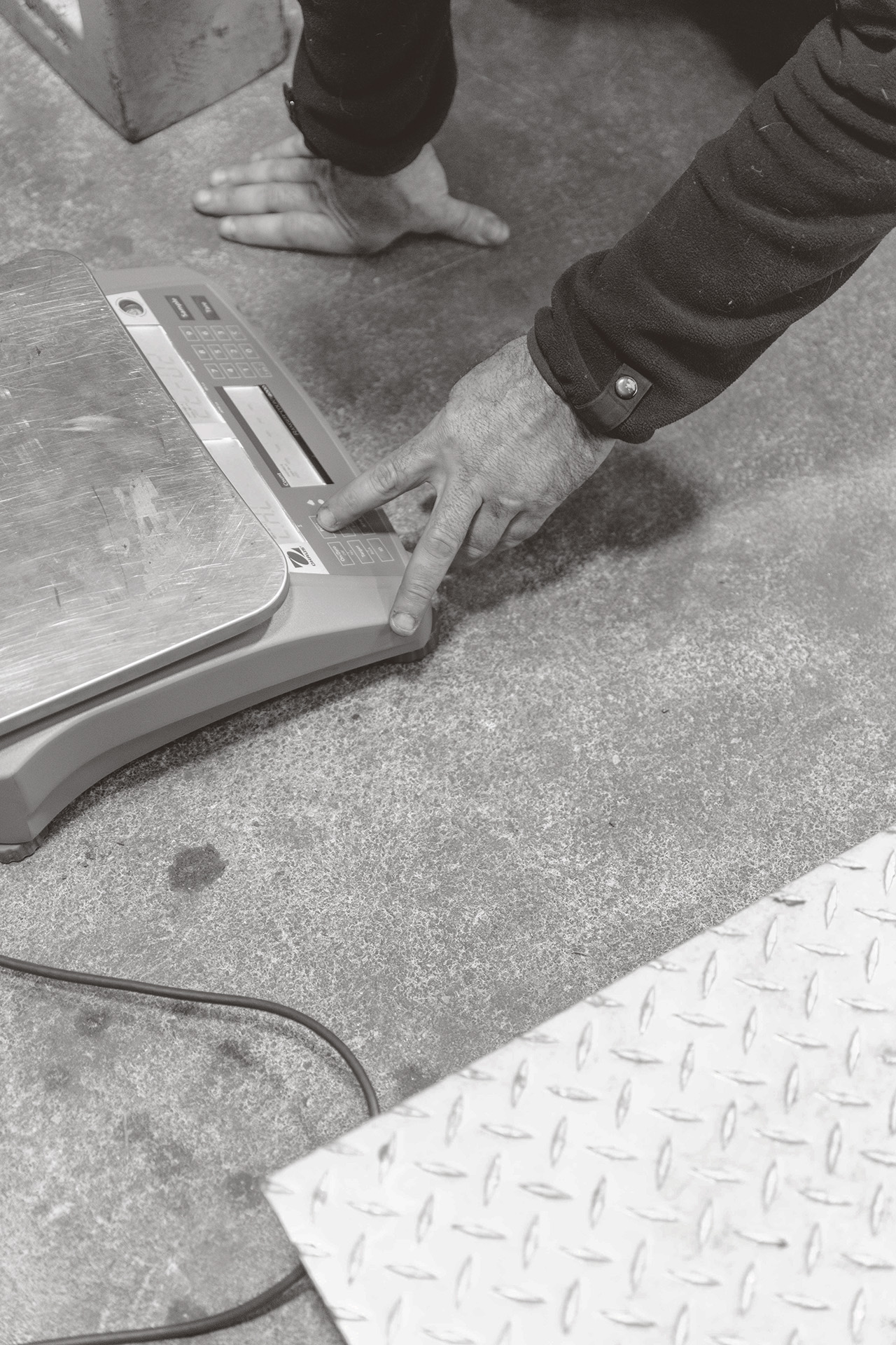 System Scale engineer adjusts settings on a scale