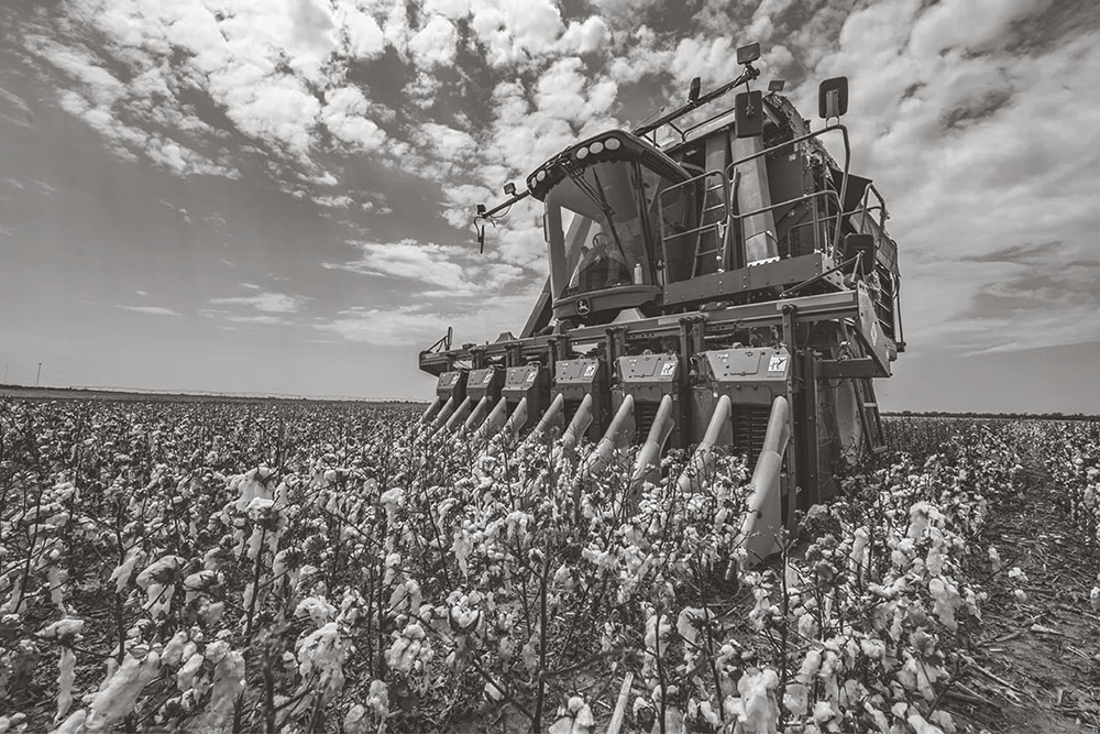 cotton harvester